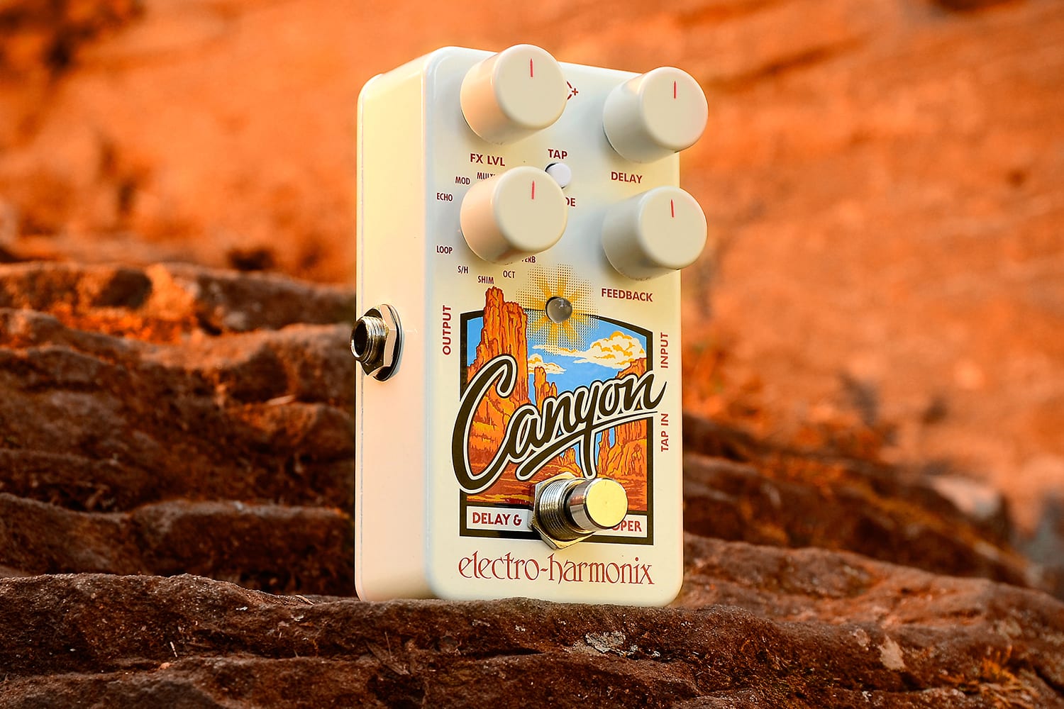 Canyon | Delay & Looper - Electro-Harmonix